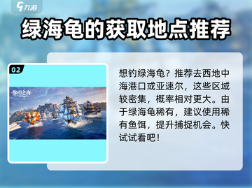 黎明之海💎绿海龟位置大揭秘！快速获取攻略来啦～截图3