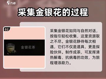 七日世界🔥金银花位置大揭秘！📌必备攻略截图3