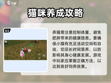 心动小镇🐱养猫攻略，云吸猫爱好者必看！截图4