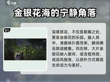 七日世界🔥金银花位置大曝光！速来打卡✨截图2