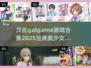 🔥2025必玩！经典汉化美少女游戏合集💥