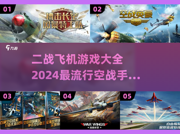 ✈2024必玩！最火二战空战手游大全🔥截图1