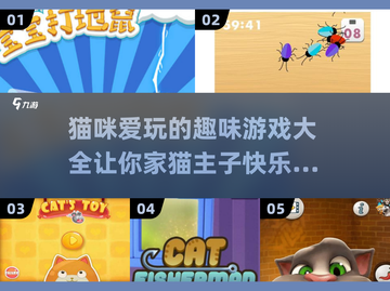猫咪爱玩的游戏大揭秘！🐱2025年超全游戏清单来啦～截图1