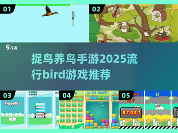 🔥2025最受欢迎的捉鸟养鸟手游是这款！🐦不容错过截图1