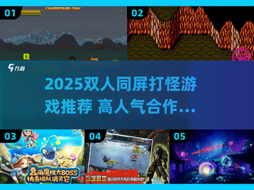 🔥2025双人打怪游戏TOP榜🎮高人气同屏激战推荐！截图1