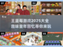 王蓝莓游戏合集🎉2025超全题材大全