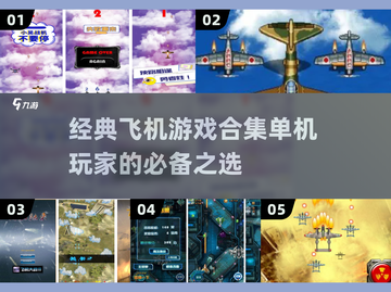 🔥2024经典飞机游戏合集下载推荐✈截图1
