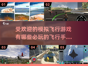 2024必玩🔥模拟飞行手游推荐✈截图1
