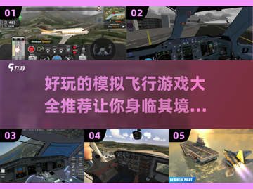 ✈十大模拟飞行游戏推荐，玩家直呼过瘾！截图1