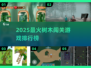 🔥2025超火树木闯关游戏排行榜来了！🌳✨