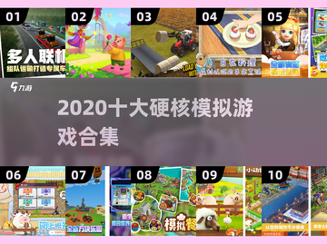 🎮2020十大硬核模拟游戏🔥超全合集下载来袭！截图1