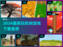 🔥2024砍树游戏TOP榜💥超耐玩推荐！🪓✨