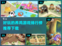 🔥2022超好玩养鸡游戏下载推荐鸡🎉