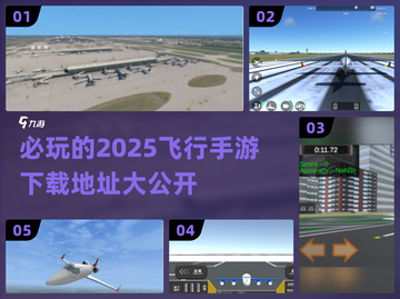2025必玩🔥模拟飞行类游戏下载排行✈截图1