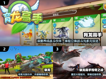 🔥2025驯龙高手游戏推荐！🎮 dragon带你飞截图2