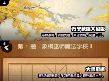 😍2024超全单机象棋游戏汇总免费玩 Chess截图3