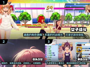 🔥2024必玩女性角色格斗游戏汇总💥截图2