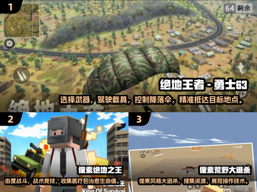🔥2025必玩单机吃鸡游戏下载大全💥截图2