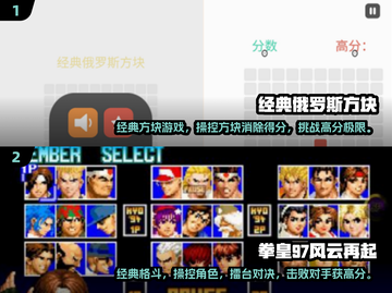 💥免费玩！2025经典老游戏排行榜🔥截图3