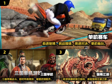 🔥2025必玩经典网游单机版合集🎮截图2