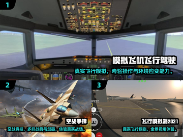 2024必玩3D飞行游戏🎮🔥截图2