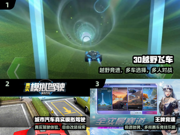 🚗2024最上头的3D驾驶手游💥截图2