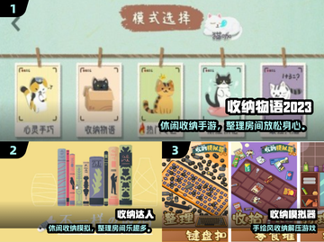 🔥2025最火收纳游戏TOP10榜单出炉！🎮✨截图2