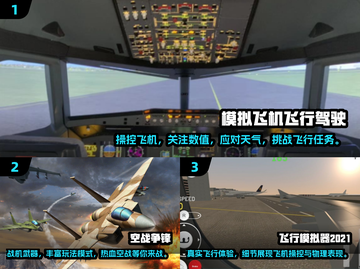 2024必玩✈3D模拟飞行游戏推荐🔥截图2