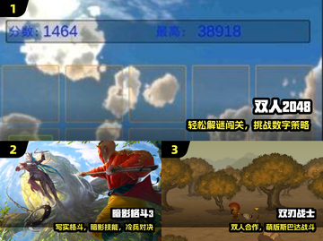 🔥2024双人必玩神作TOP榜🎮截图2