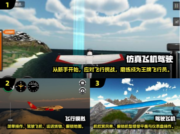 🔥2024必玩！热门3D飞机驾驶手游排行榜✈截图2