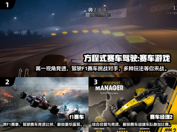 🔥2024必玩F1赛车游戏大盘点截图2