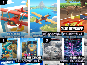 ✈2025最火飞机驾驶游戏合集截图2