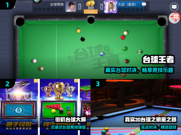 🎱2024超耐玩桌球游戏TOP榜🔥截图2