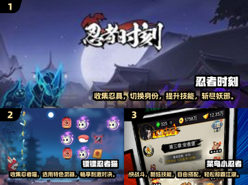 🔥2025最🔥忍者游戏下载秘籍💥受欢迎款全在这里！🎮截图2
