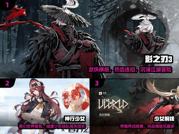 🔥2024最火二次元手游TOP5💥截图2