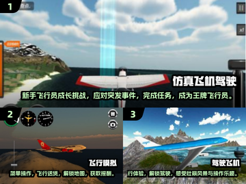 🎮2024超火3D飞机驾驶手游TOP榜🔥截图2