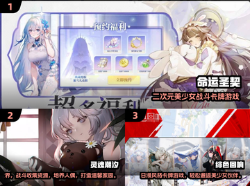 2025人气二次元美女卡牌TOP榜💥🎮截图2