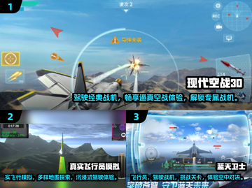 2024必玩🔥3D飞行手游排行榜✈截图2