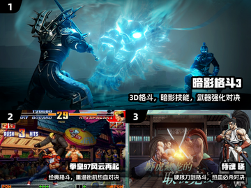 🔥2025格斗游戏TOP10出炉！💥截图2