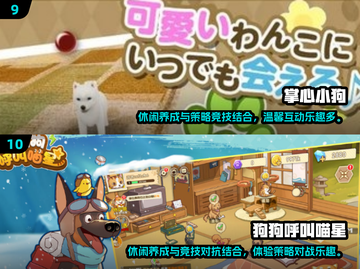 🐾狗狗超爱的100种游戏大公开！🔥截图5