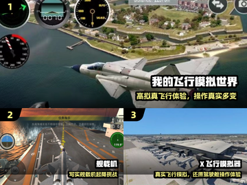 ✈2025最燃飞行模拟器TOP榜🔥截图2
