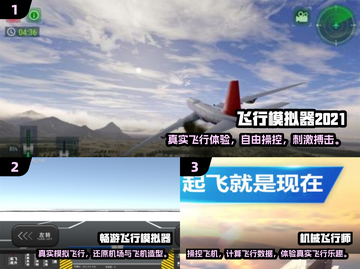 2024必玩飞行游戏合集✈经典推荐🔥截图2