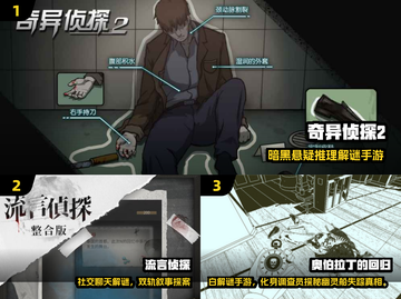 🔥2025烧脑侦探游戏TOP榜！🧩推理迷必玩！截图2