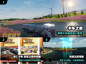 🚗2024最火3D驾驶手游🔥截图2