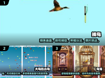 捕鸟达人🔥2024超耐玩手游推荐🎉截图2
