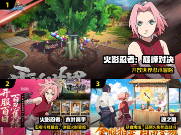 🔥2025最燃火影大战游戏💥截图2