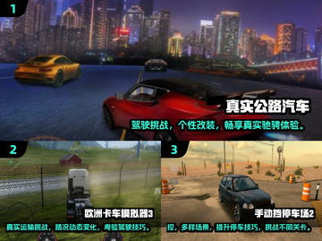 🔥2025最受欢迎🚗模拟游戏合集，玩到停不下来！截图2