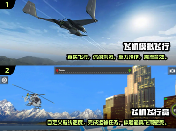 ✈2025必玩！十大顶级飞行模拟游戏🔥截图5