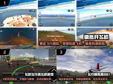 2024必玩🔥模拟飞行手游推荐✈截图2