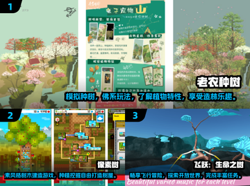 🌳2025最受欢迎树木游戏排行榜，玩到停不下来！🔥截图2